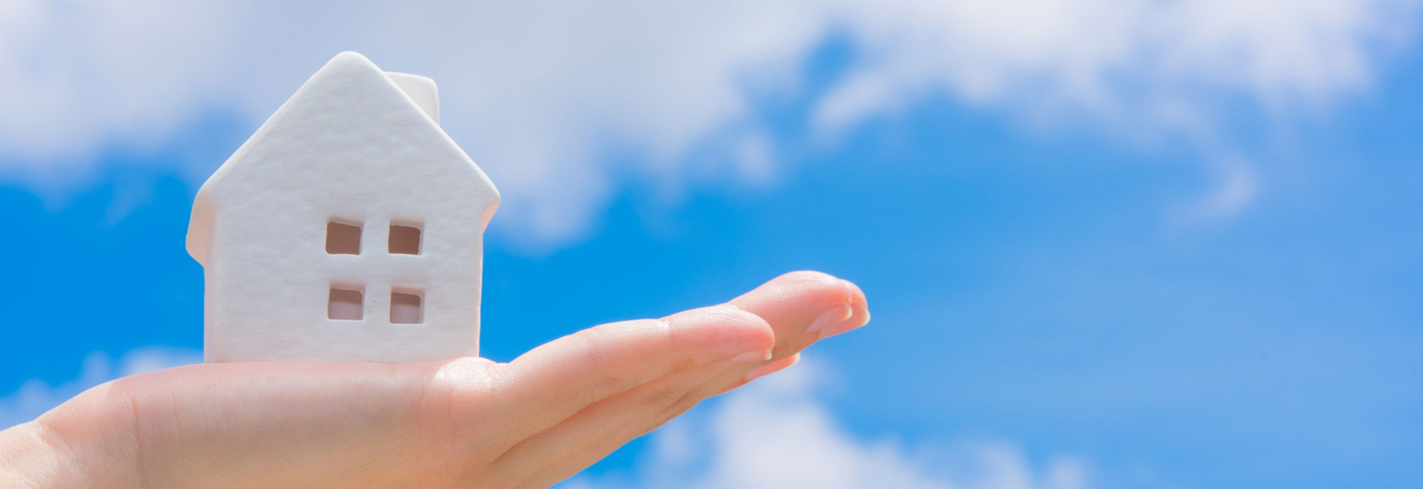 建設工事一式、大阪、堺の株式会社Y’s trustの会社概要